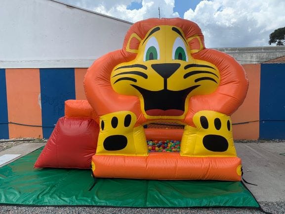 Piscina de Bolinhas Leãozinho 3 em 1