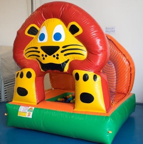 Piscina de Bolinhas Leãzinho